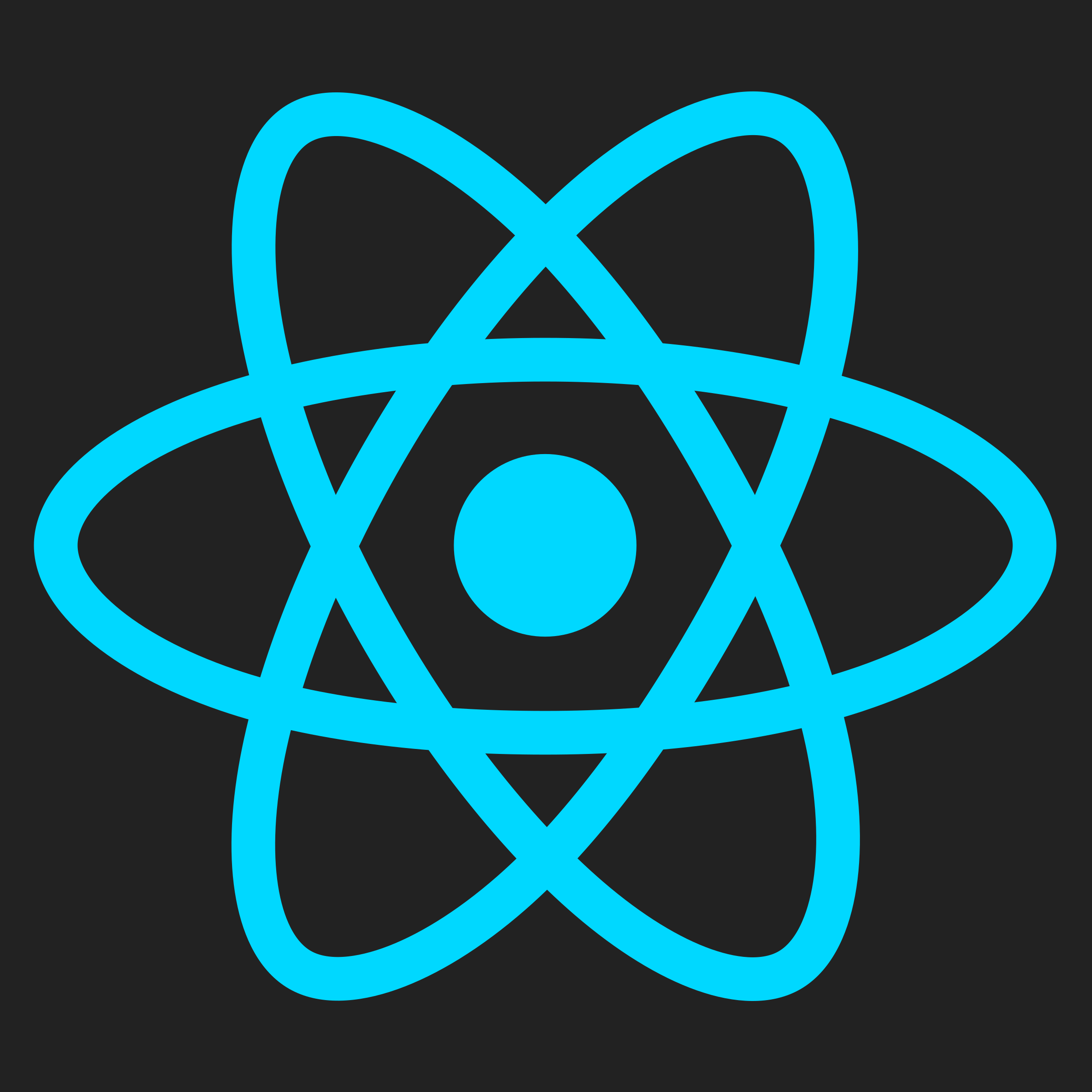 React logo for Frontend Challenge